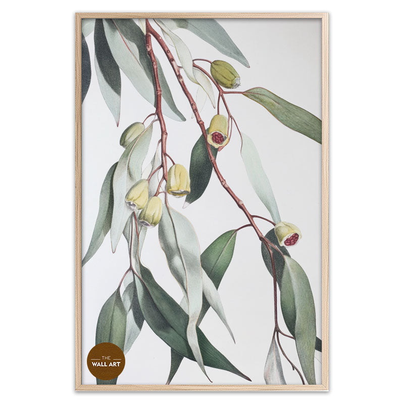 GUM LEAVES II