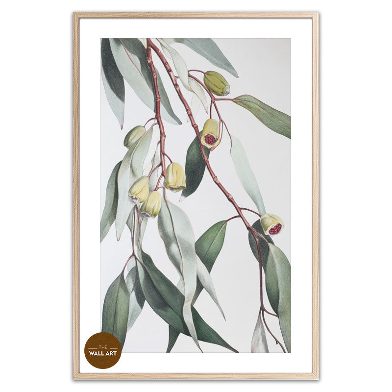 GUM LEAVES II