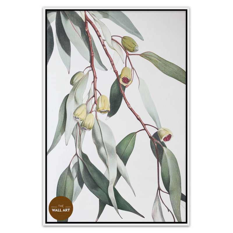 GUM LEAVES II