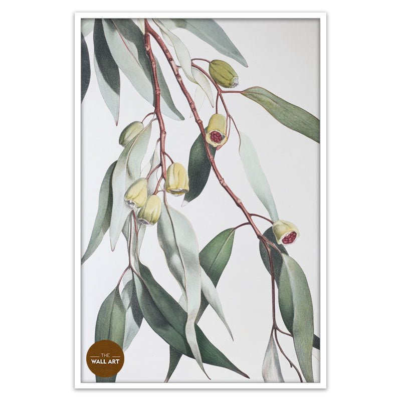 GUM LEAVES II