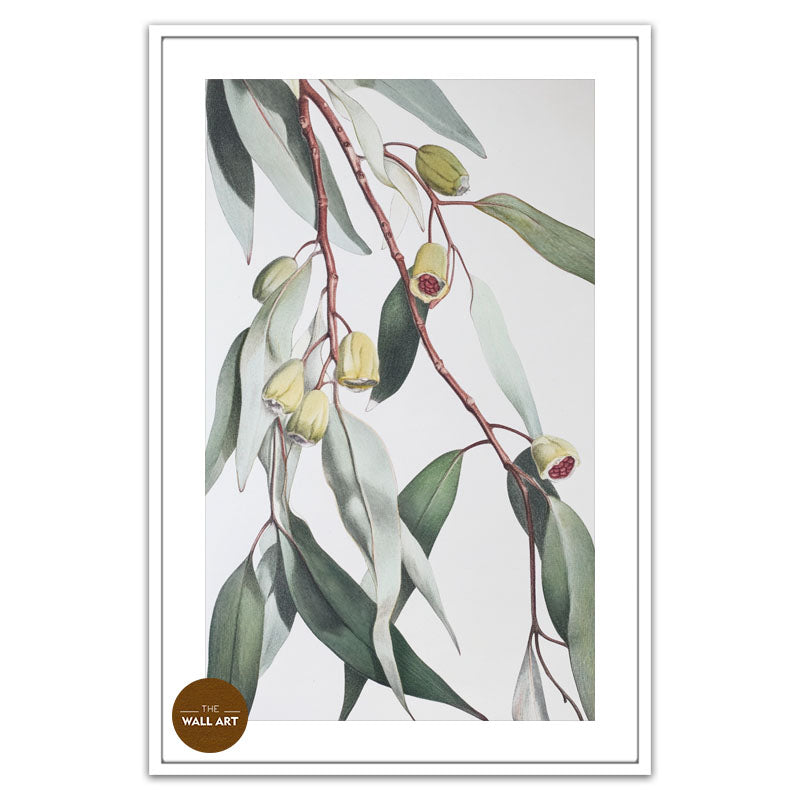 GUM LEAVES II