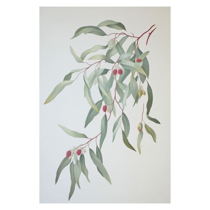 GUM LEAVES I