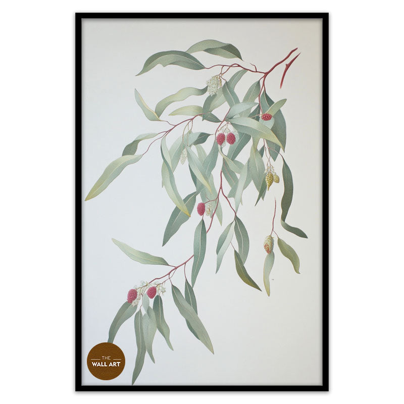 GUM LEAVES I