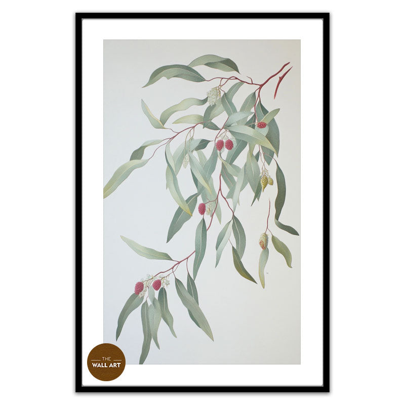 GUM LEAVES I