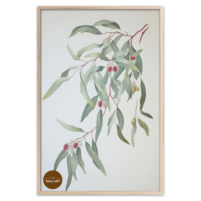 GUM LEAVES I
