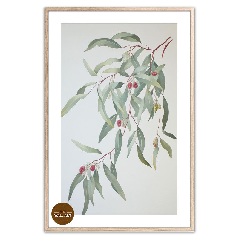 GUM LEAVES I