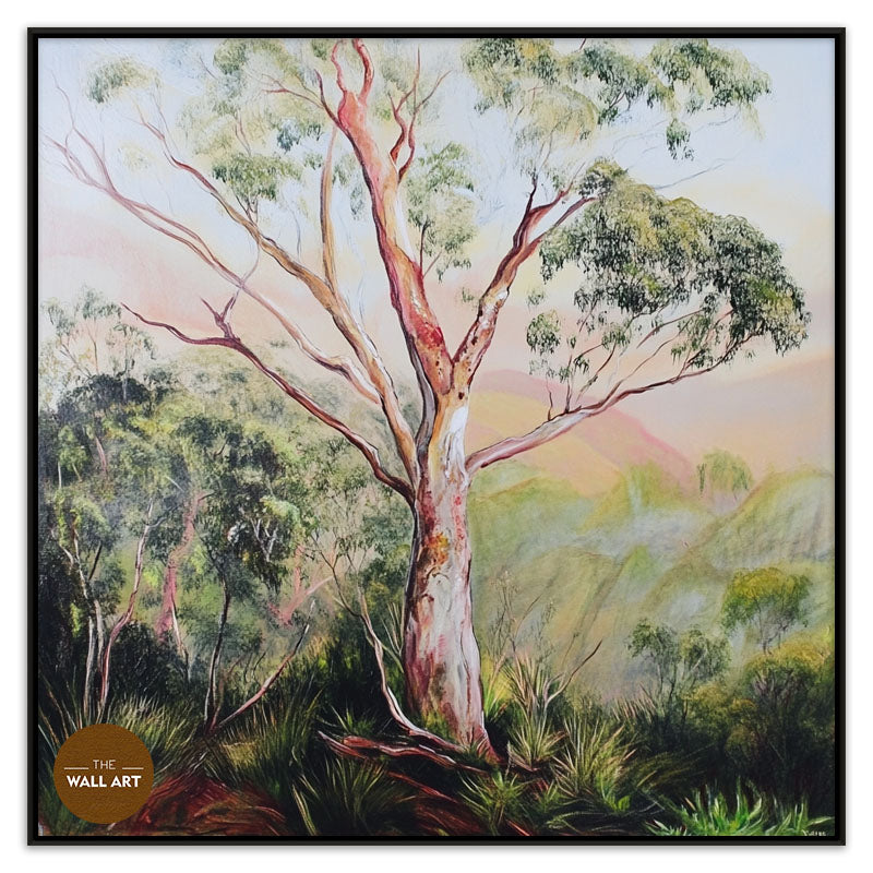 GUM TREE IN FOREST