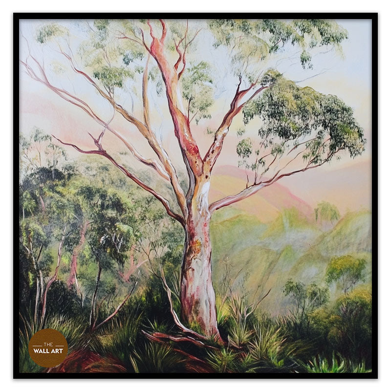 GUM TREE IN FOREST