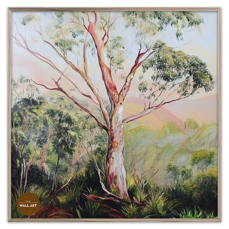 GUM TREE IN FOREST