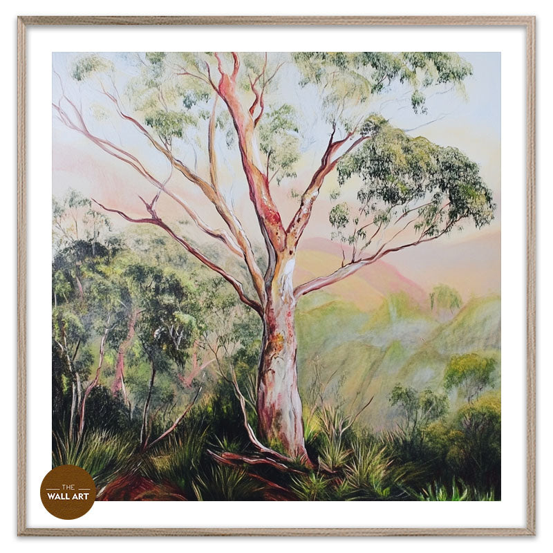 GUM TREE IN FOREST