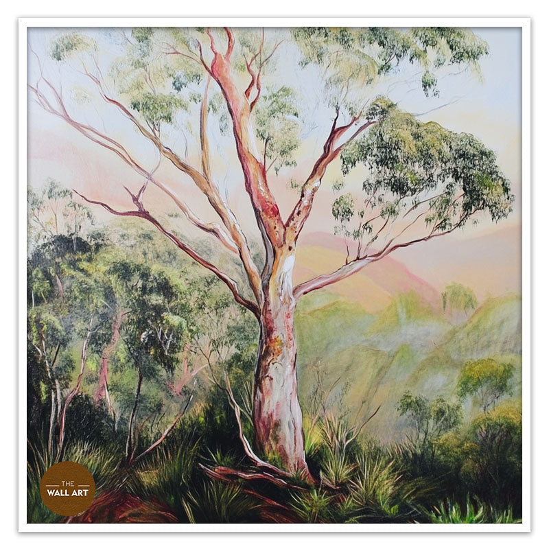 GUM TREE IN FOREST