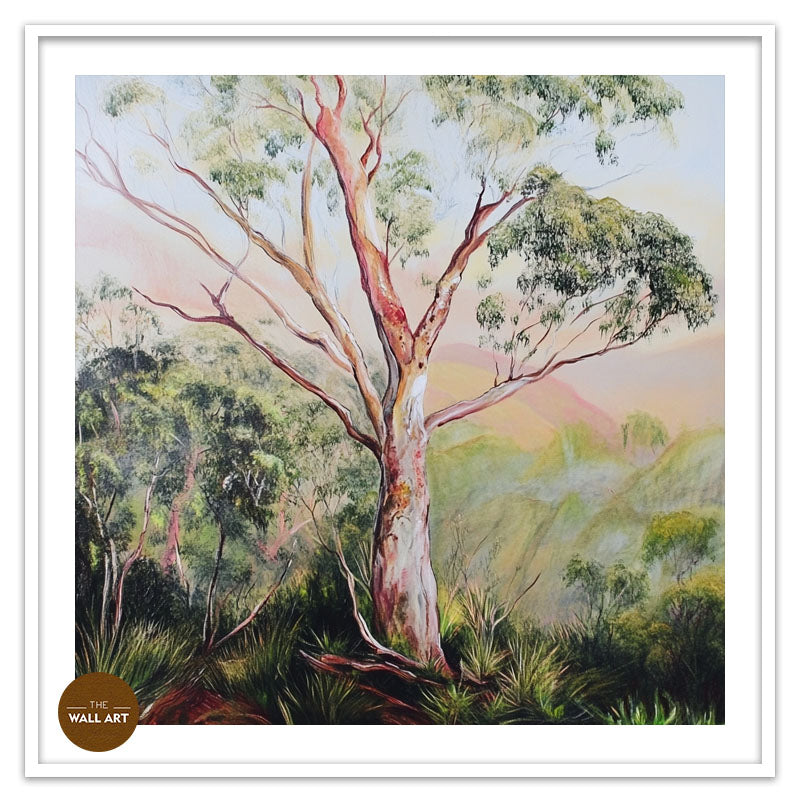 GUM TREE IN FOREST