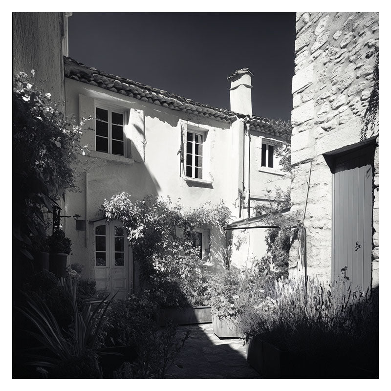 HOUSE IN REMINISCENCE IV
