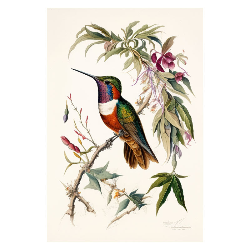 HUMMINGBIRD III