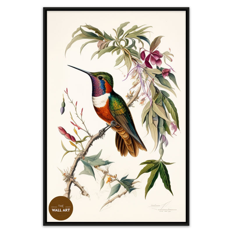 HUMMINGBIRD III