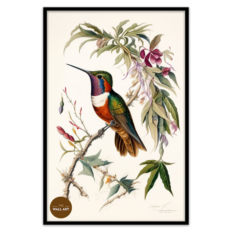HUMMINGBIRD III