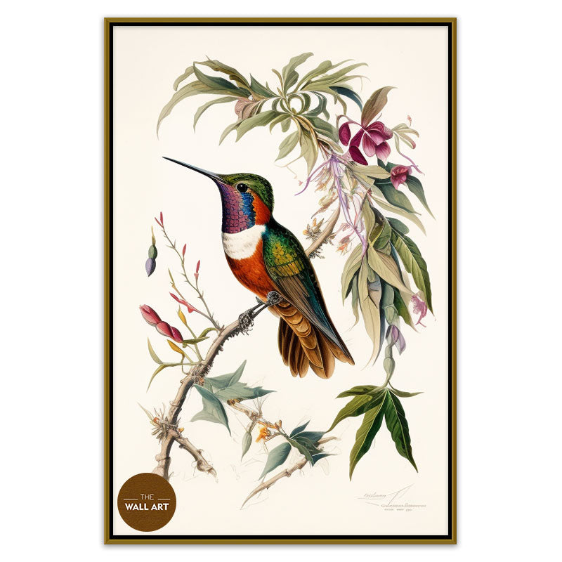 HUMMINGBIRD III