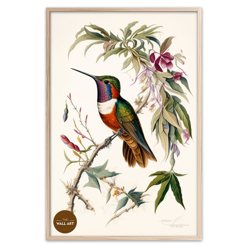 HUMMINGBIRD III