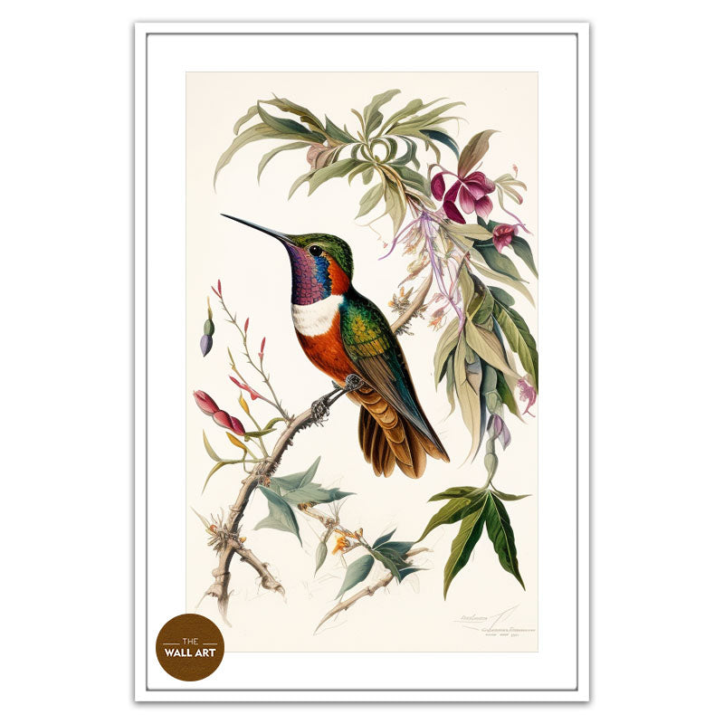 HUMMINGBIRD III