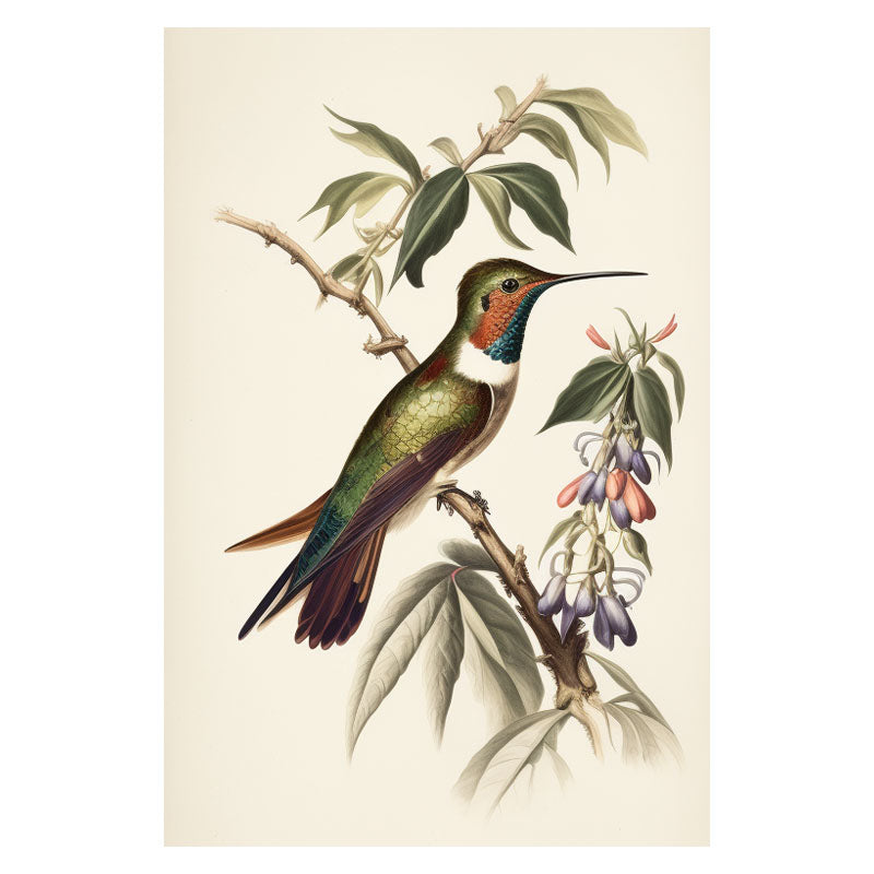 HUMMINGBIRD II