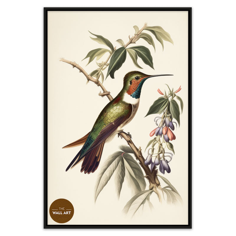 HUMMINGBIRD II