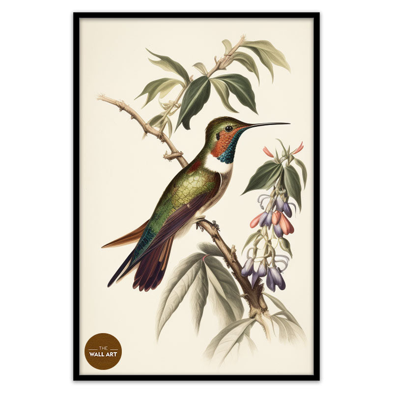 HUMMINGBIRD II