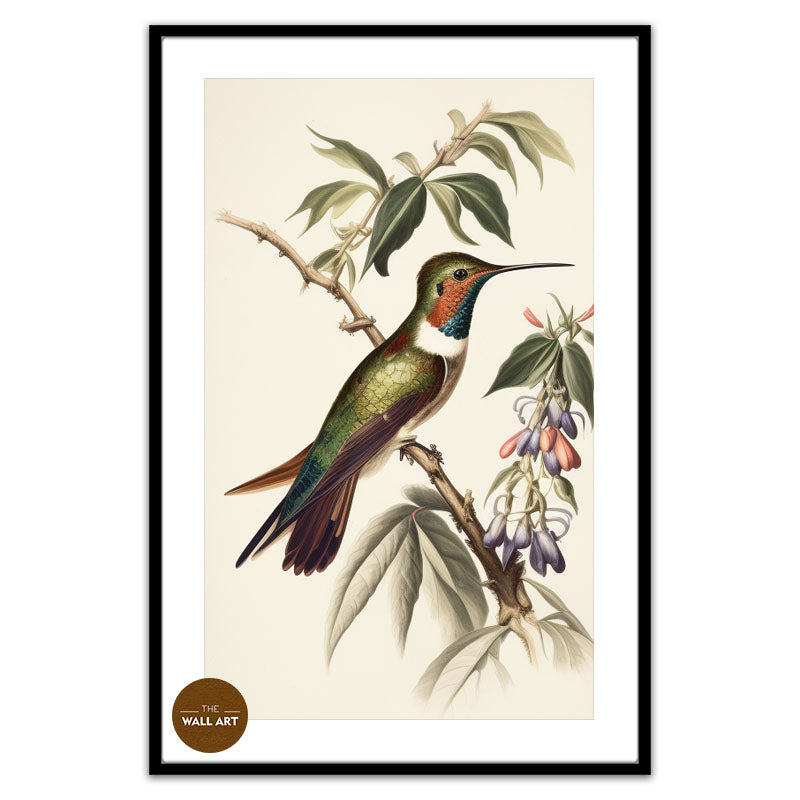 HUMMINGBIRD II