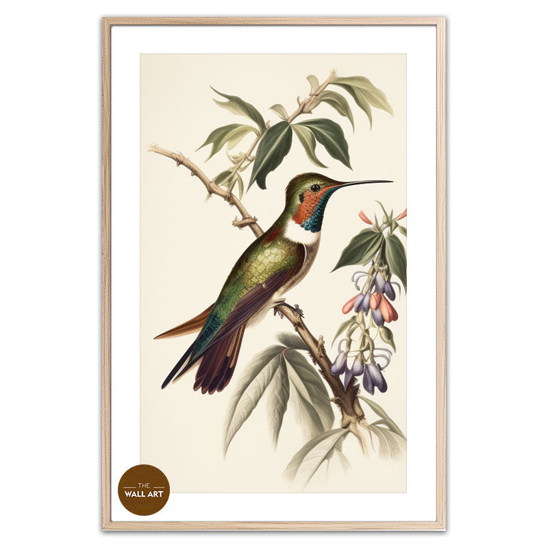HUMMINGBIRD II