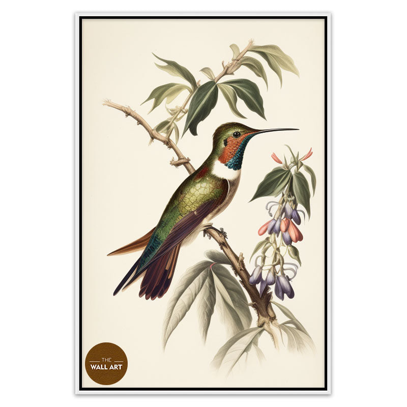 HUMMINGBIRD II