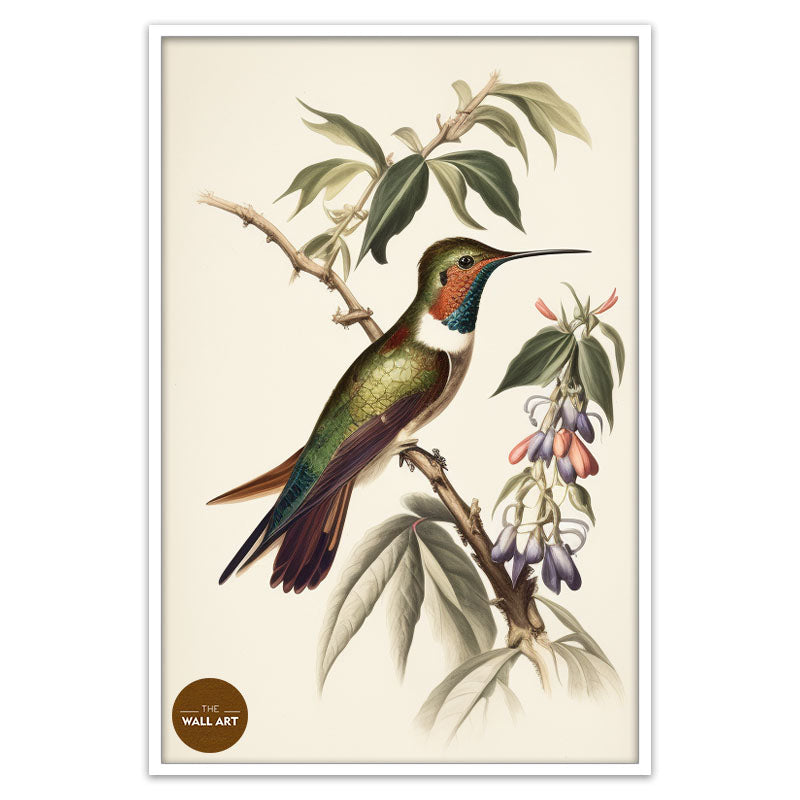HUMMINGBIRD II