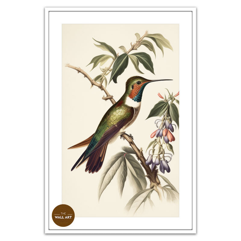 HUMMINGBIRD II
