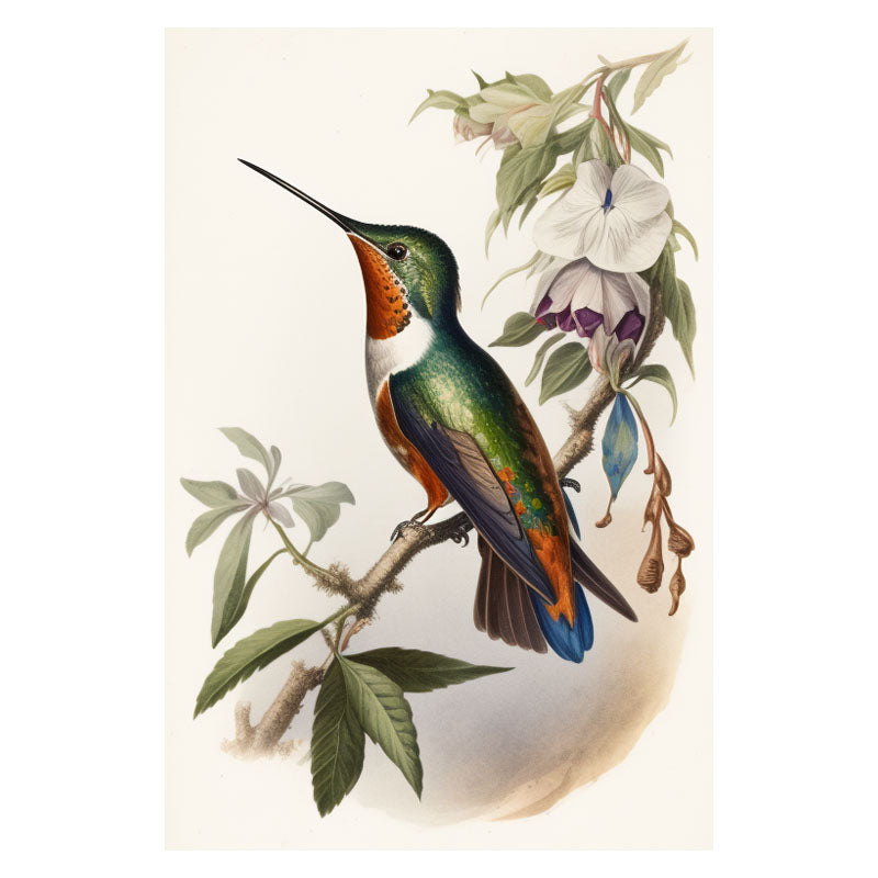HUMMINGBIRD I