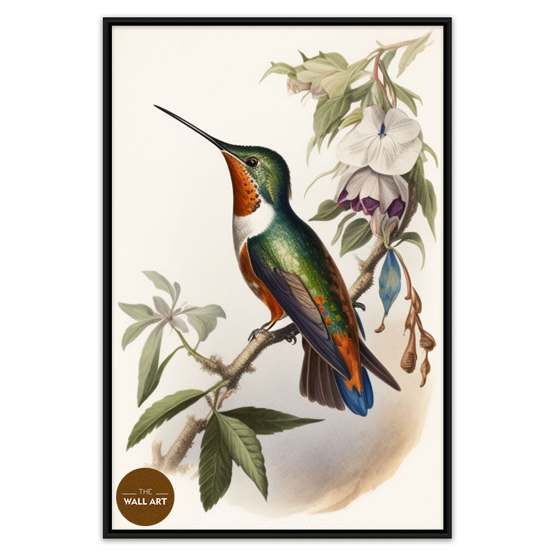 HUMMINGBIRD I