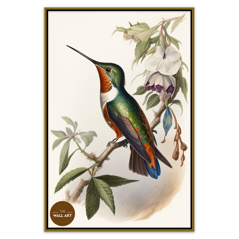 HUMMINGBIRD I