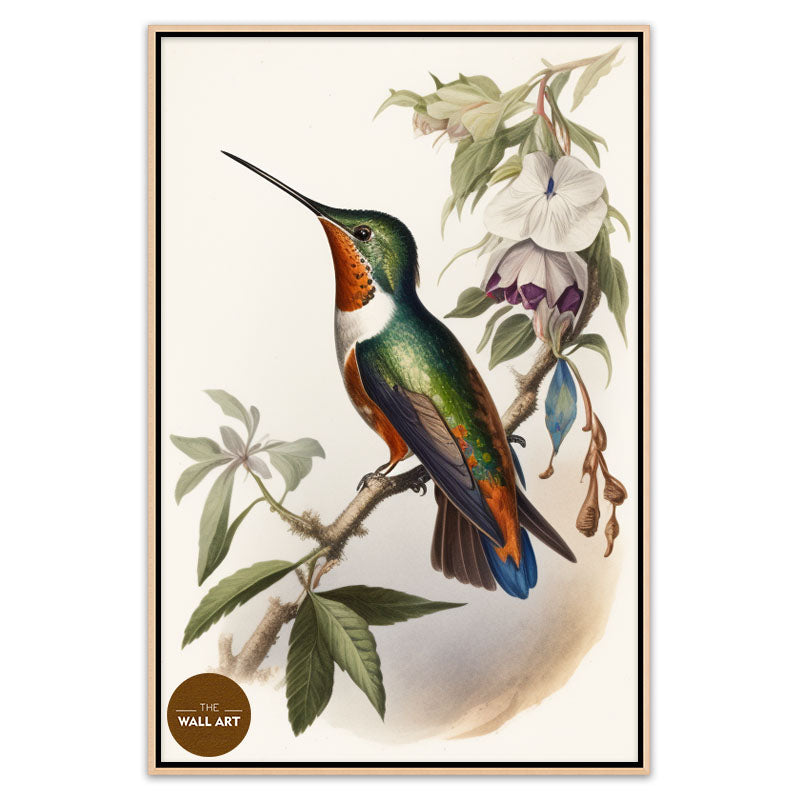 HUMMINGBIRD I