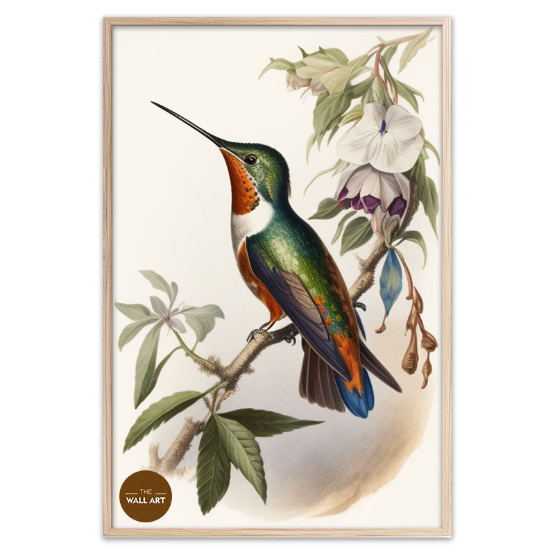HUMMINGBIRD I