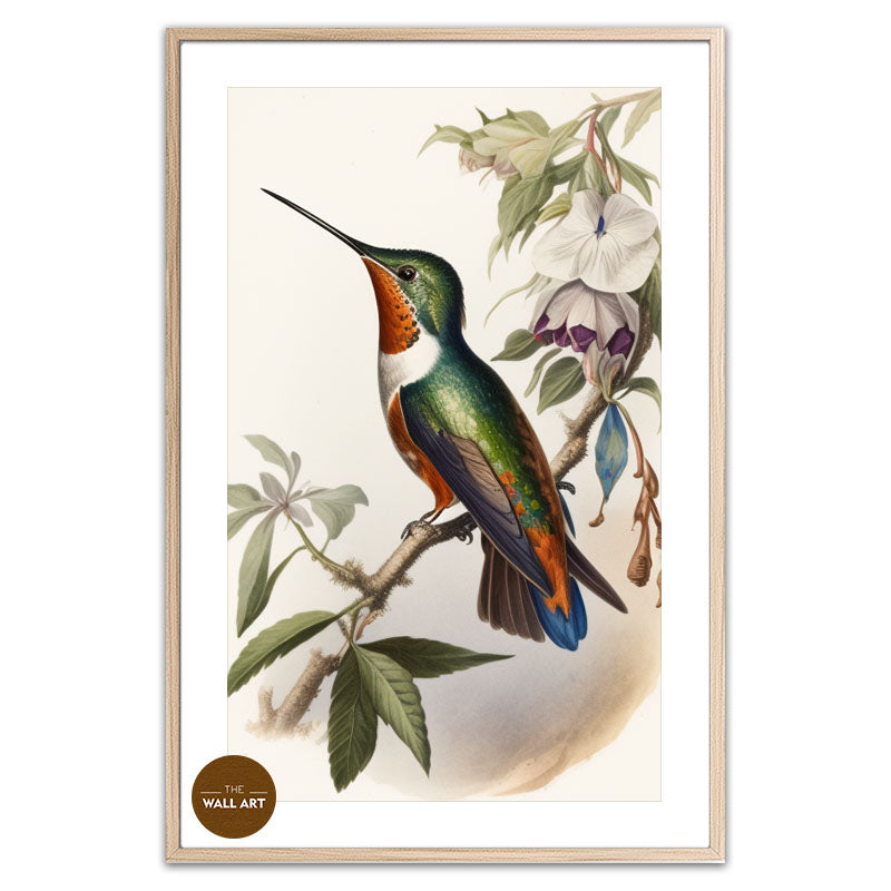 HUMMINGBIRD I