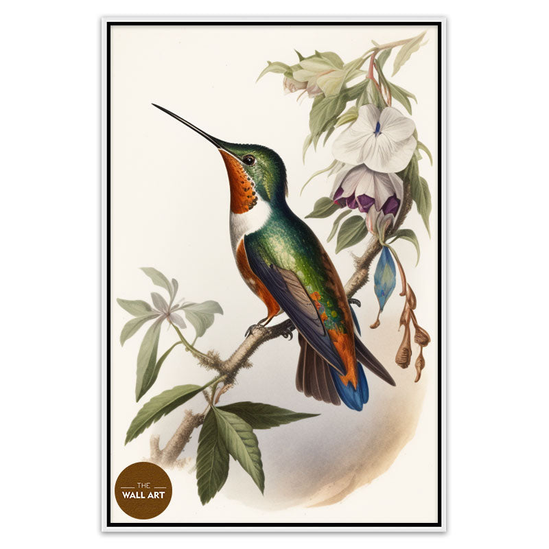 HUMMINGBIRD I
