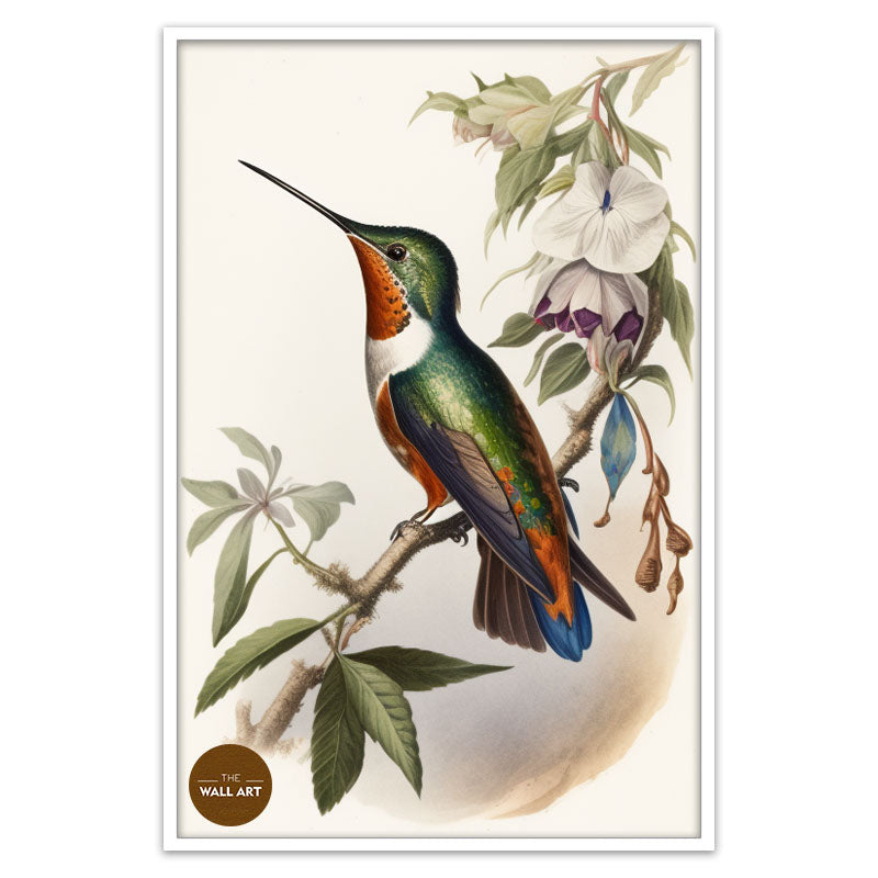 HUMMINGBIRD I