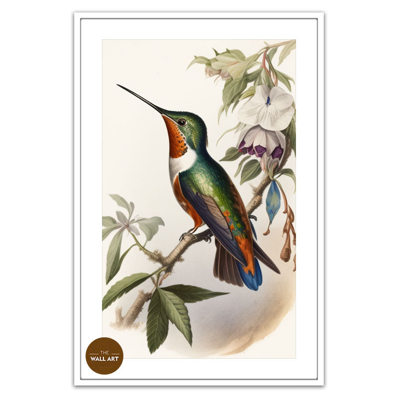 HUMMINGBIRD I