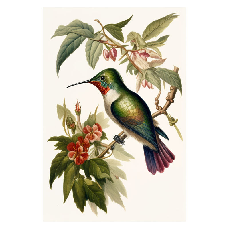 HUMMINGBIRD IV