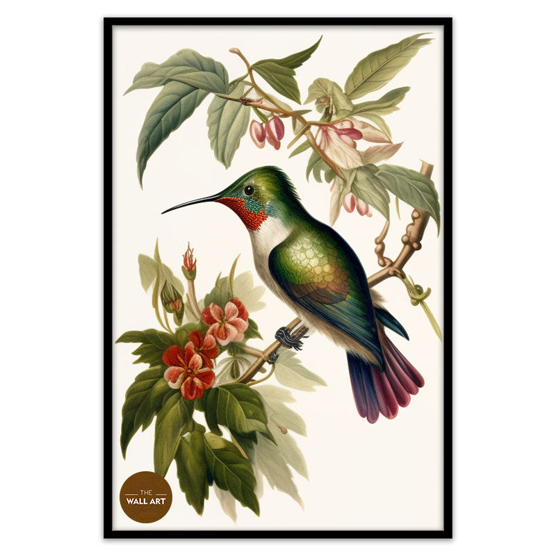 HUMMINGBIRD IV