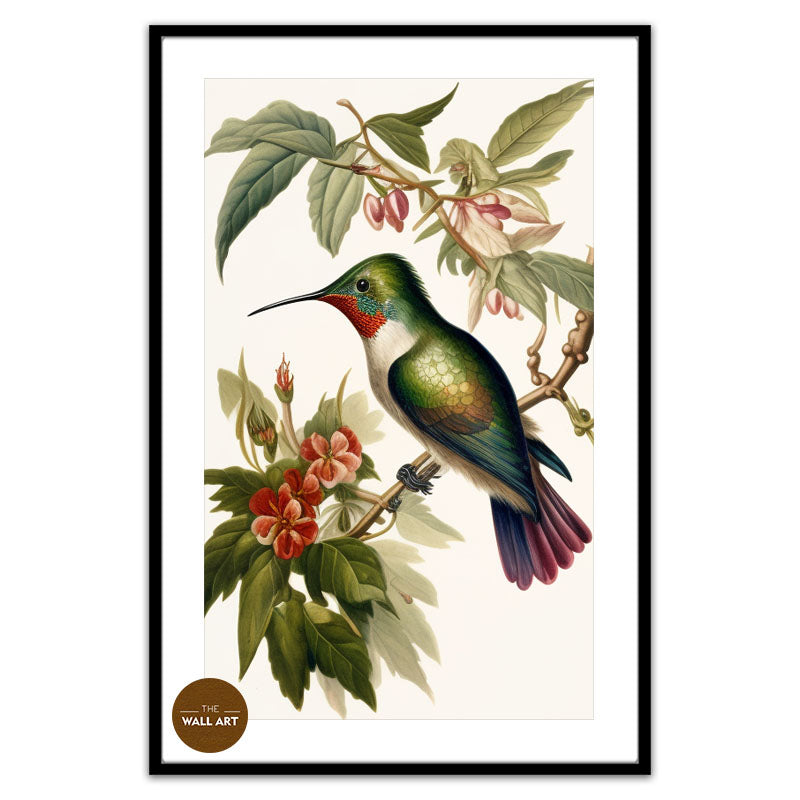 HUMMINGBIRD IV