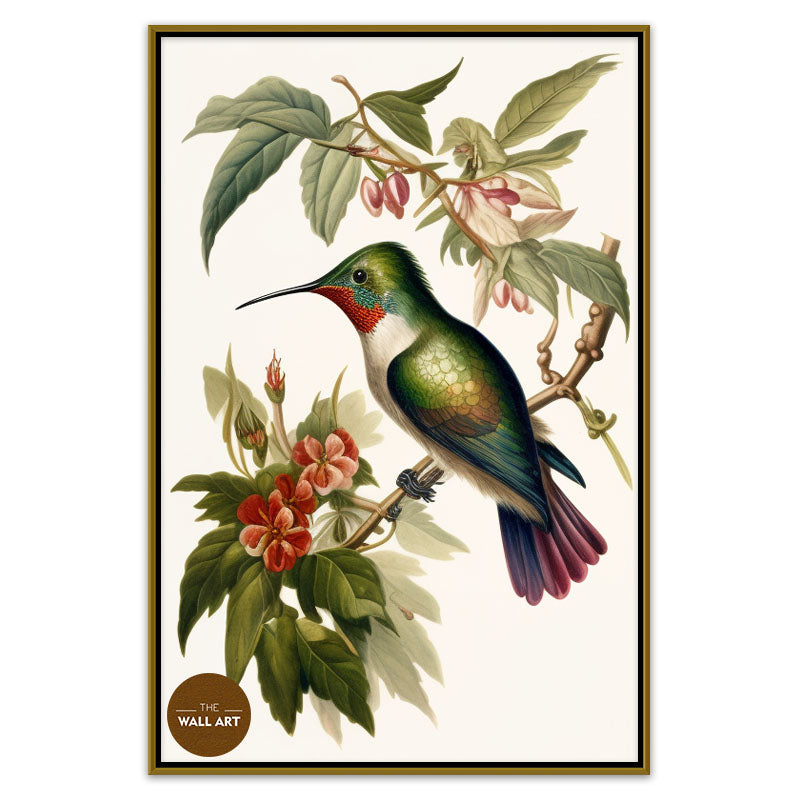 HUMMINGBIRD IV
