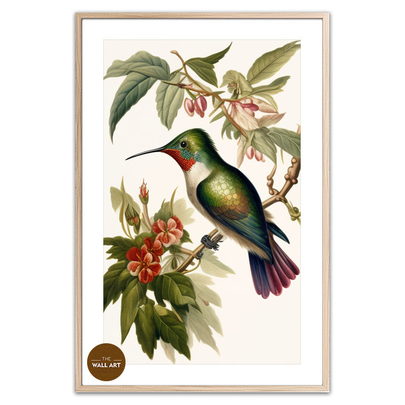 HUMMINGBIRD IV
