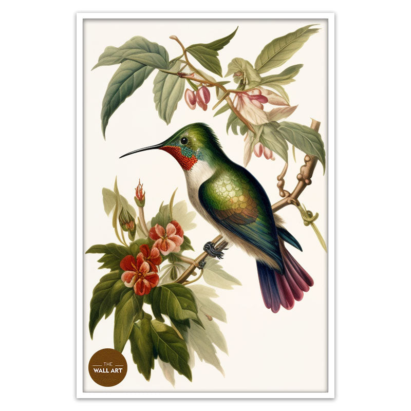 HUMMINGBIRD IV
