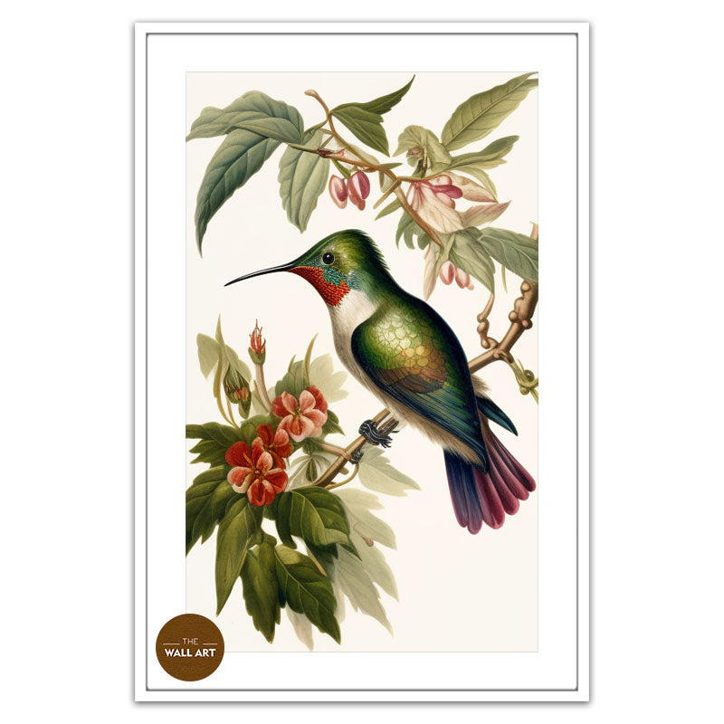 HUMMINGBIRD IV