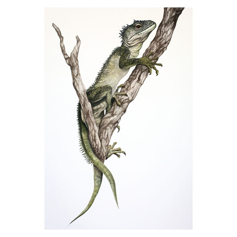 IGUANA
