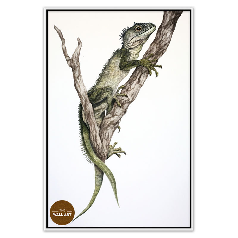 IGUANA