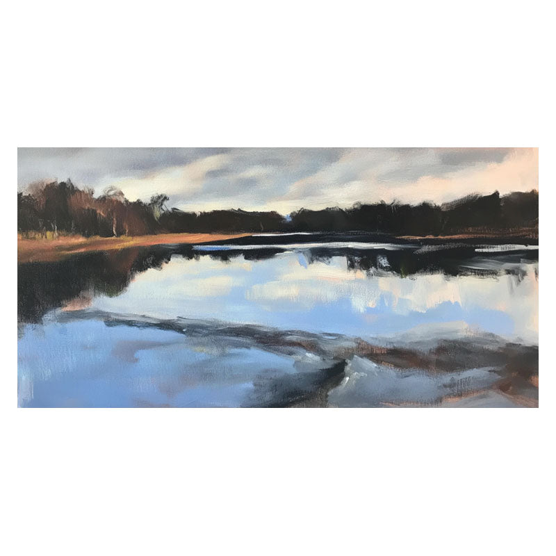 IMMENSE LAKE SURFACE III